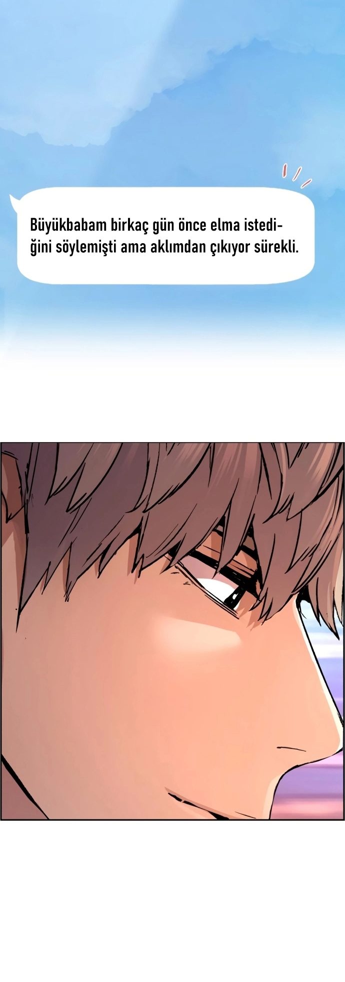 Read Mercenary Enrollment TR Manga Online