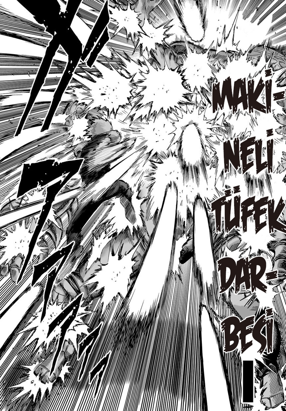 Read Tek Yumruk TR Manga Online