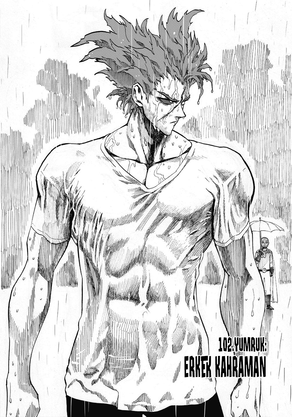 Read Tek Yumruk TR Manga Online