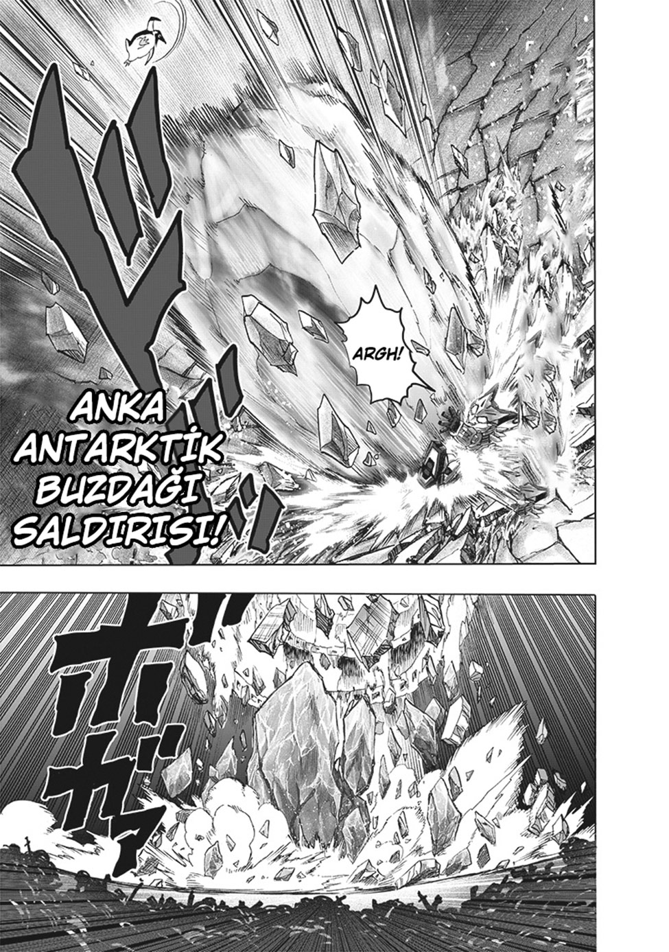 Read Tek Yumruk TR Manga Online
