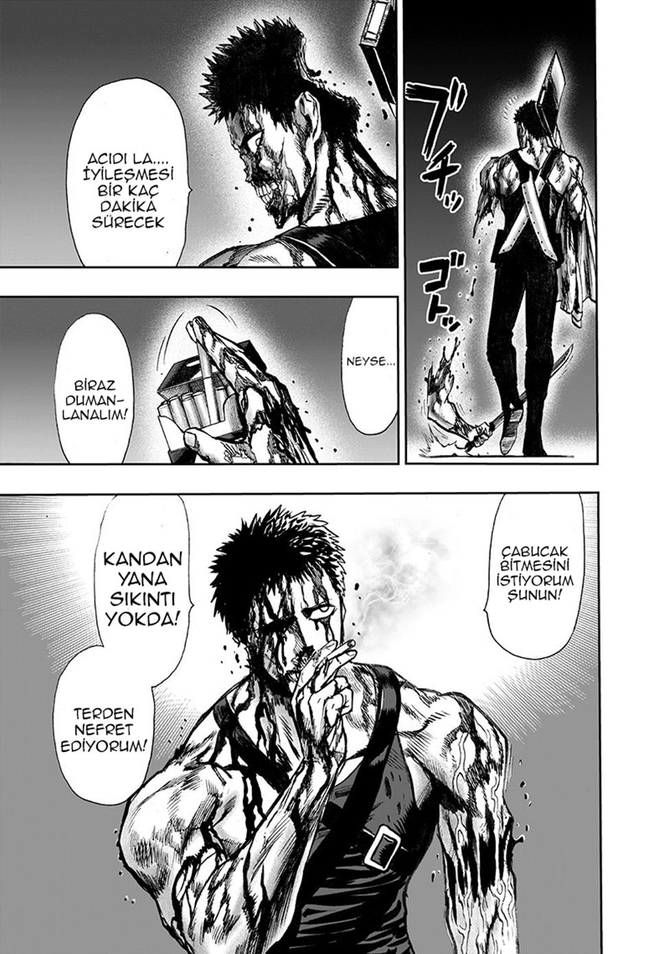 Read Tek Yumruk TR Manga Online