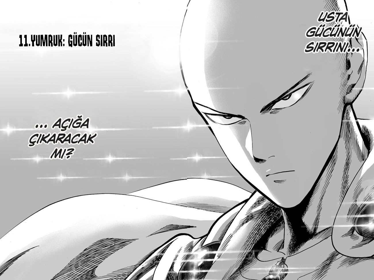 Read Tek Yumruk TR Manga Online