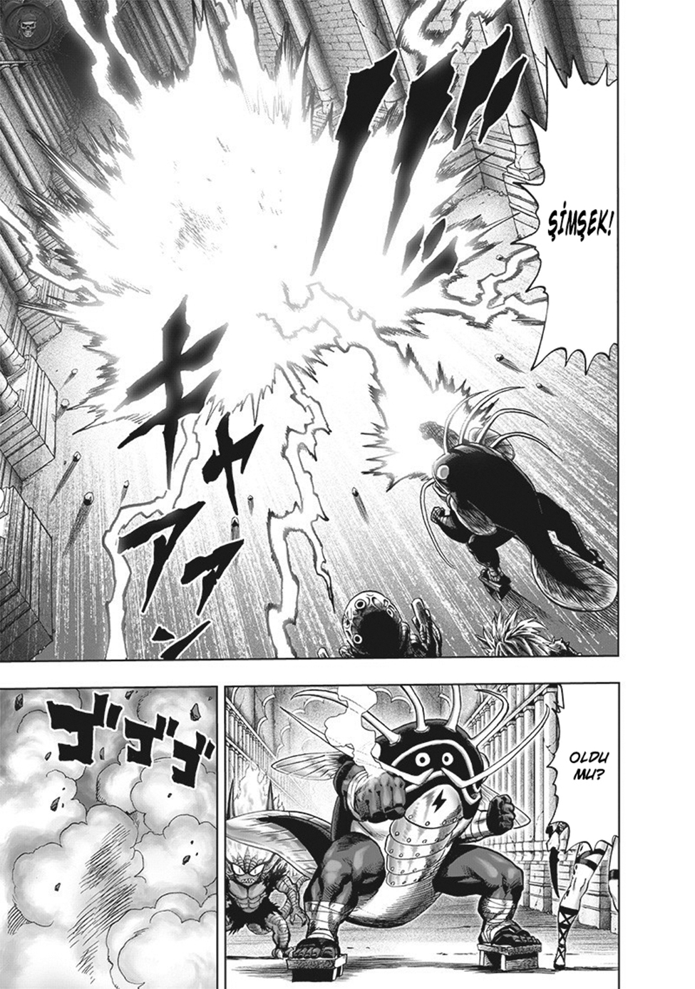 Read Tek Yumruk TR Manga Online