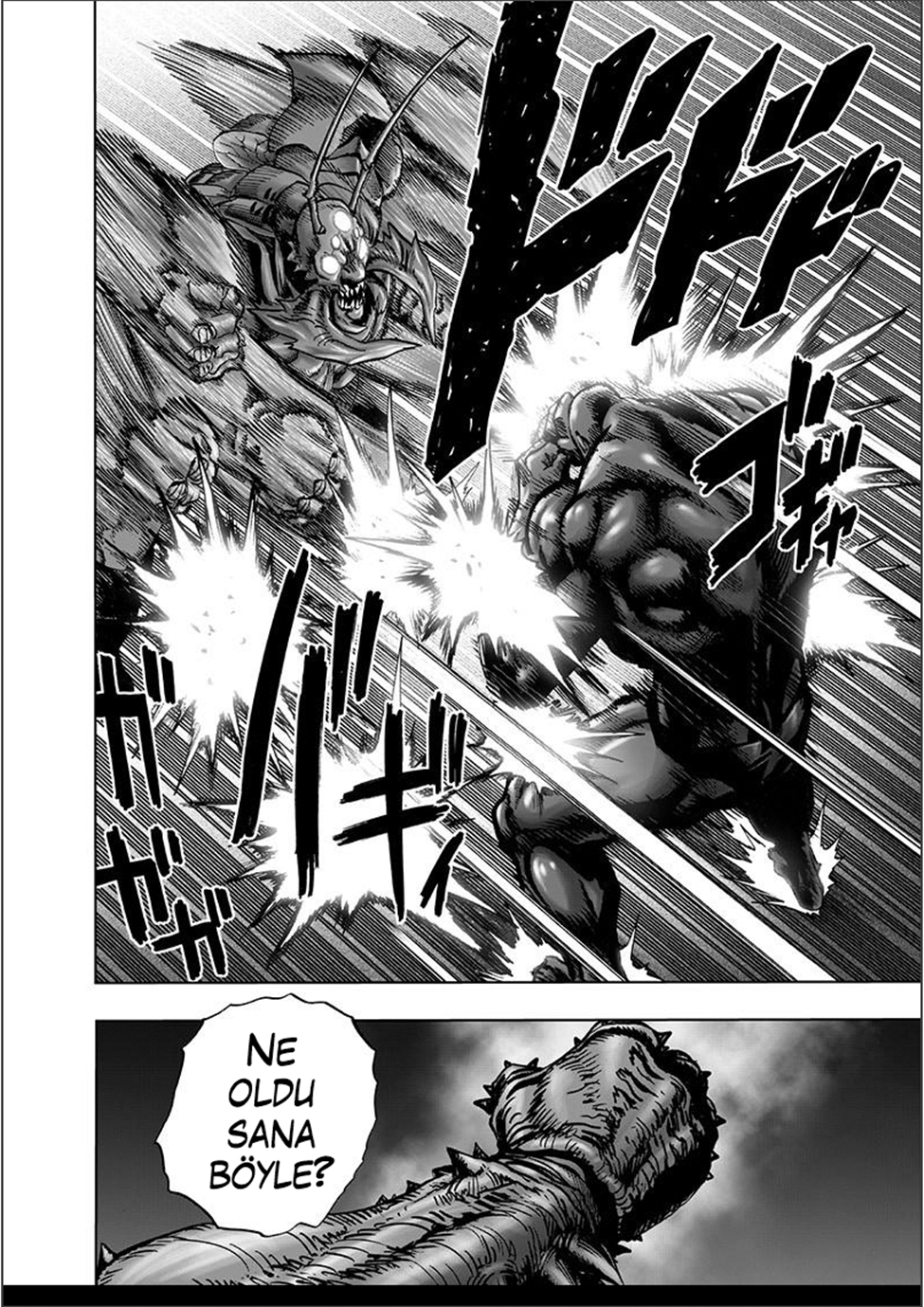 Read Tek Yumruk TR Manga Online