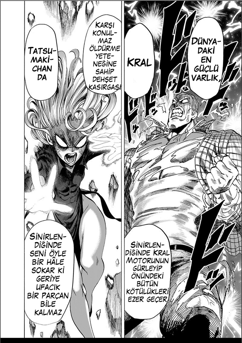 Read Tek Yumruk TR Manga Online