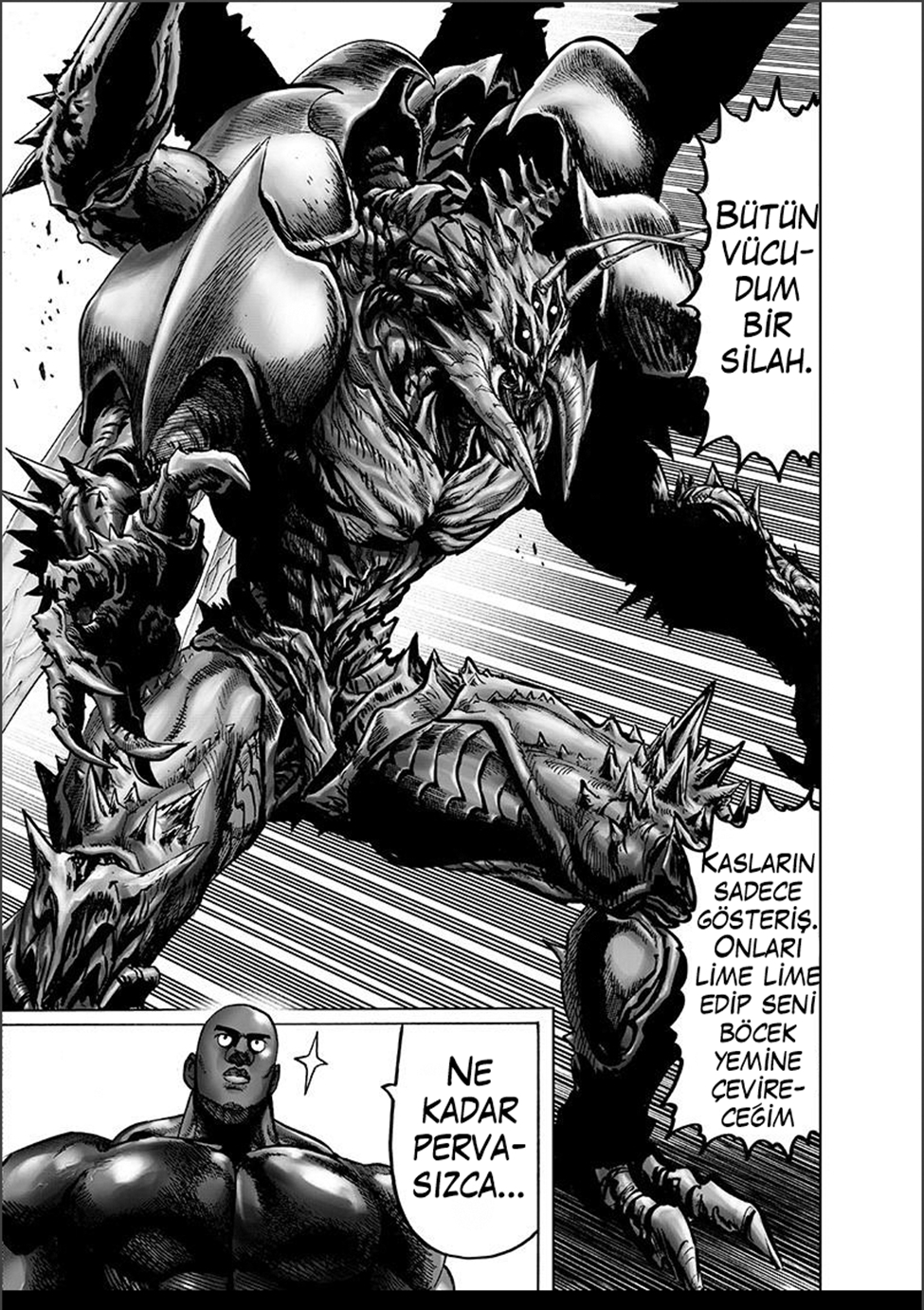 Read Tek Yumruk TR Manga Online