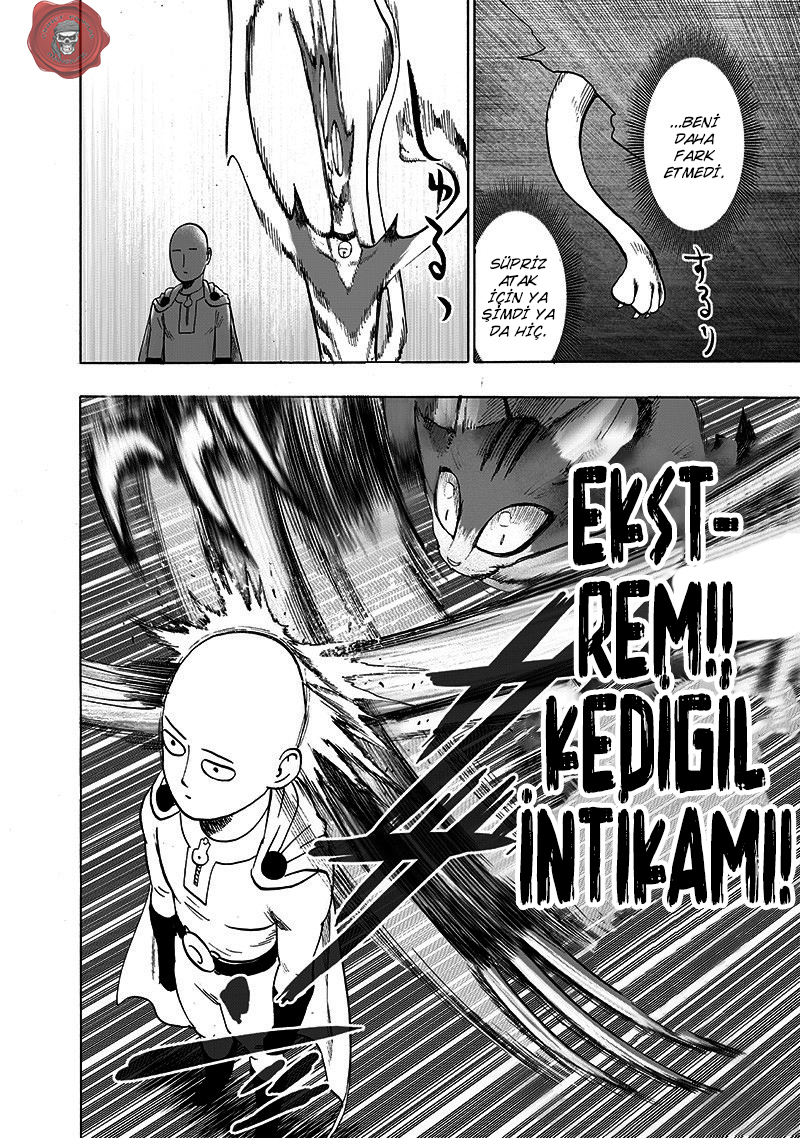 Read Tek Yumruk TR Manga Online