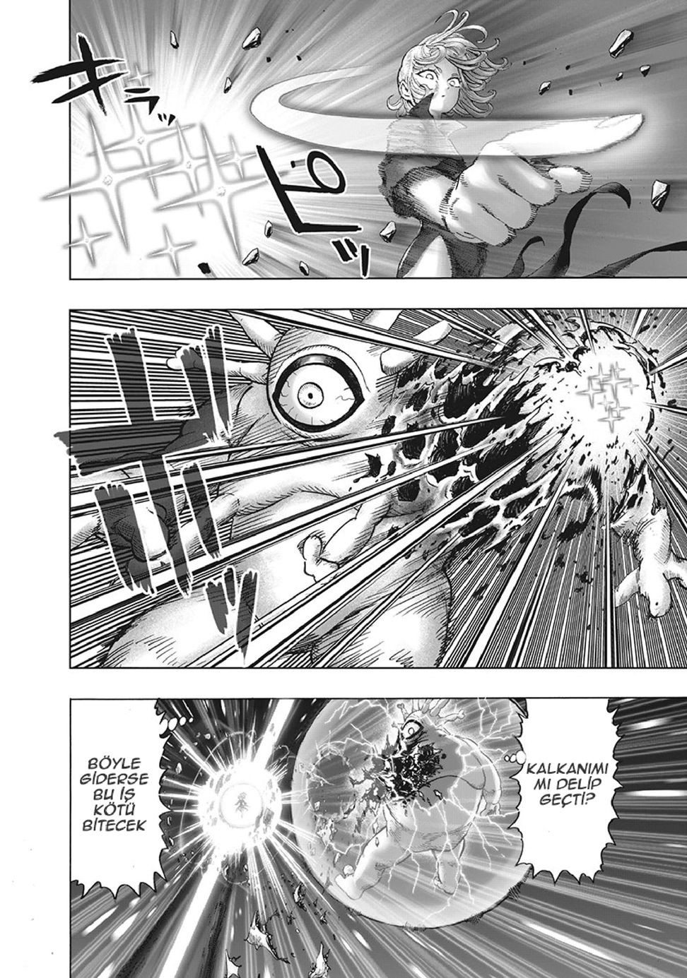 Read Tek Yumruk TR Manga Online