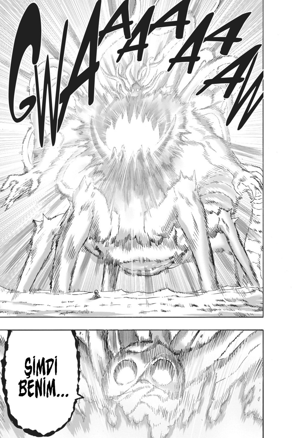 Read Tek Yumruk TR Manga Online
