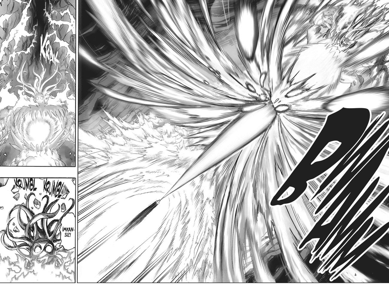 Read Tek Yumruk TR Manga Online