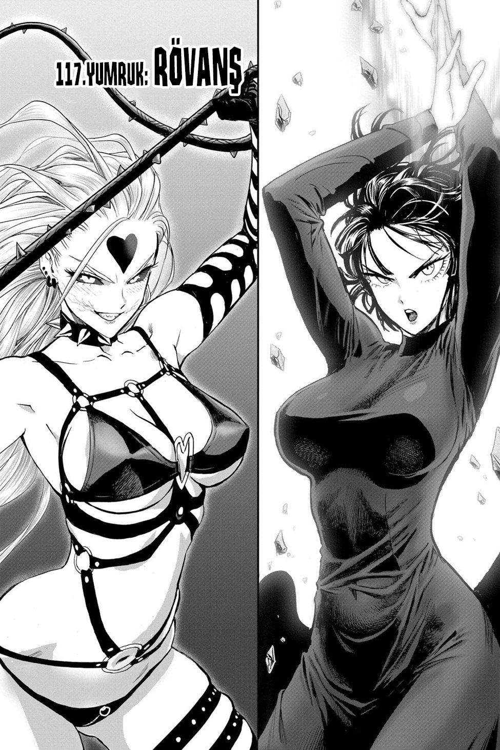 Read Tek Yumruk TR Manga Online