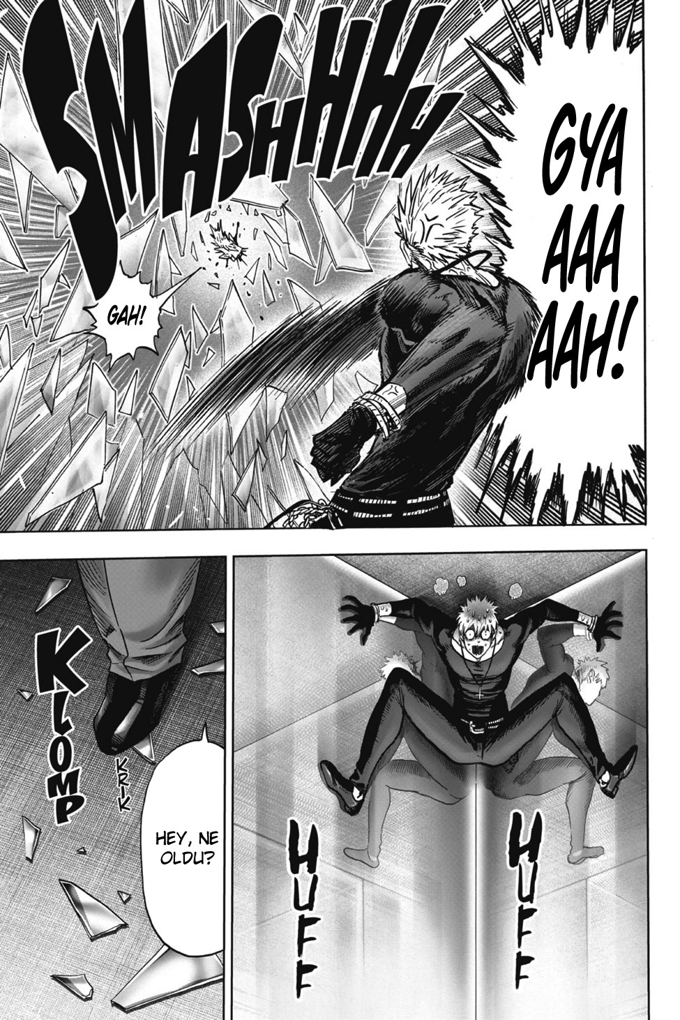 Read Tek Yumruk TR Manga Online