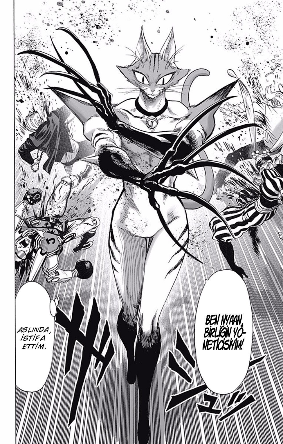 Read Tek Yumruk TR Manga Online