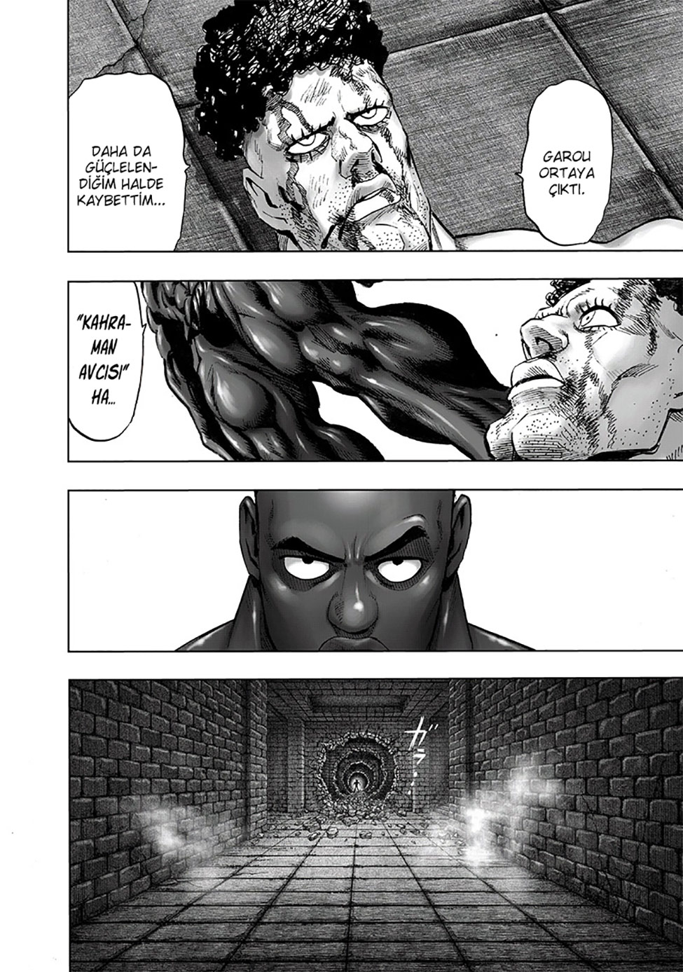 Read Tek Yumruk TR Manga Online
