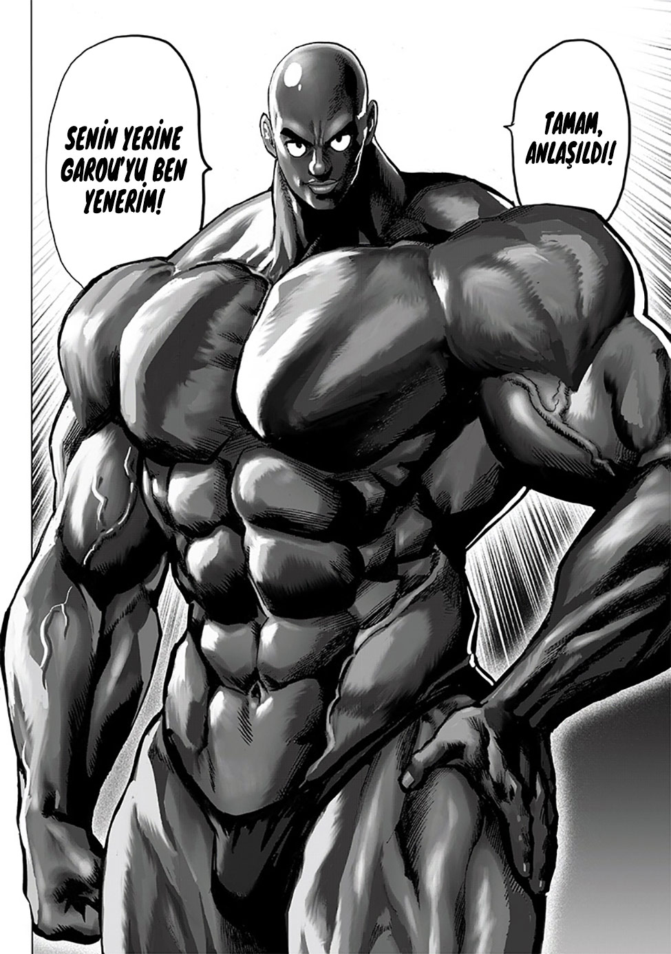 Read Tek Yumruk TR Manga Online