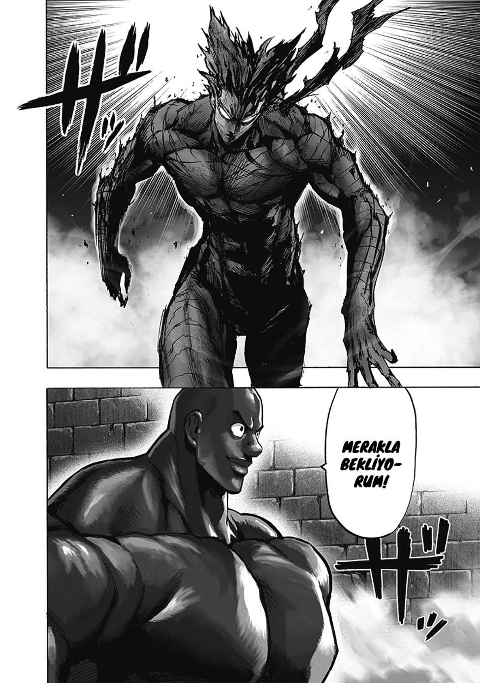 Read Tek Yumruk TR Manga Online