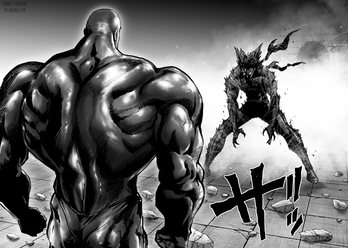 Read Tek Yumruk TR Manga Online