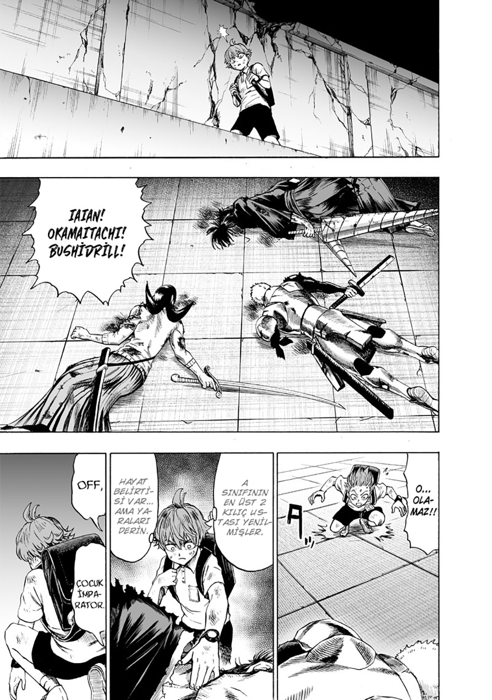 Read Tek Yumruk TR Manga Online