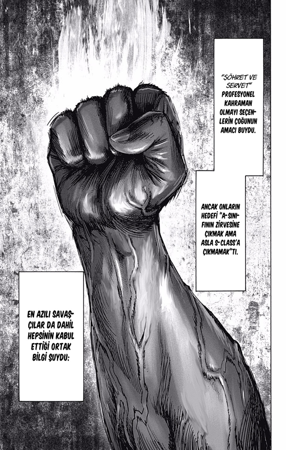 Read Tek Yumruk TR Manga Online