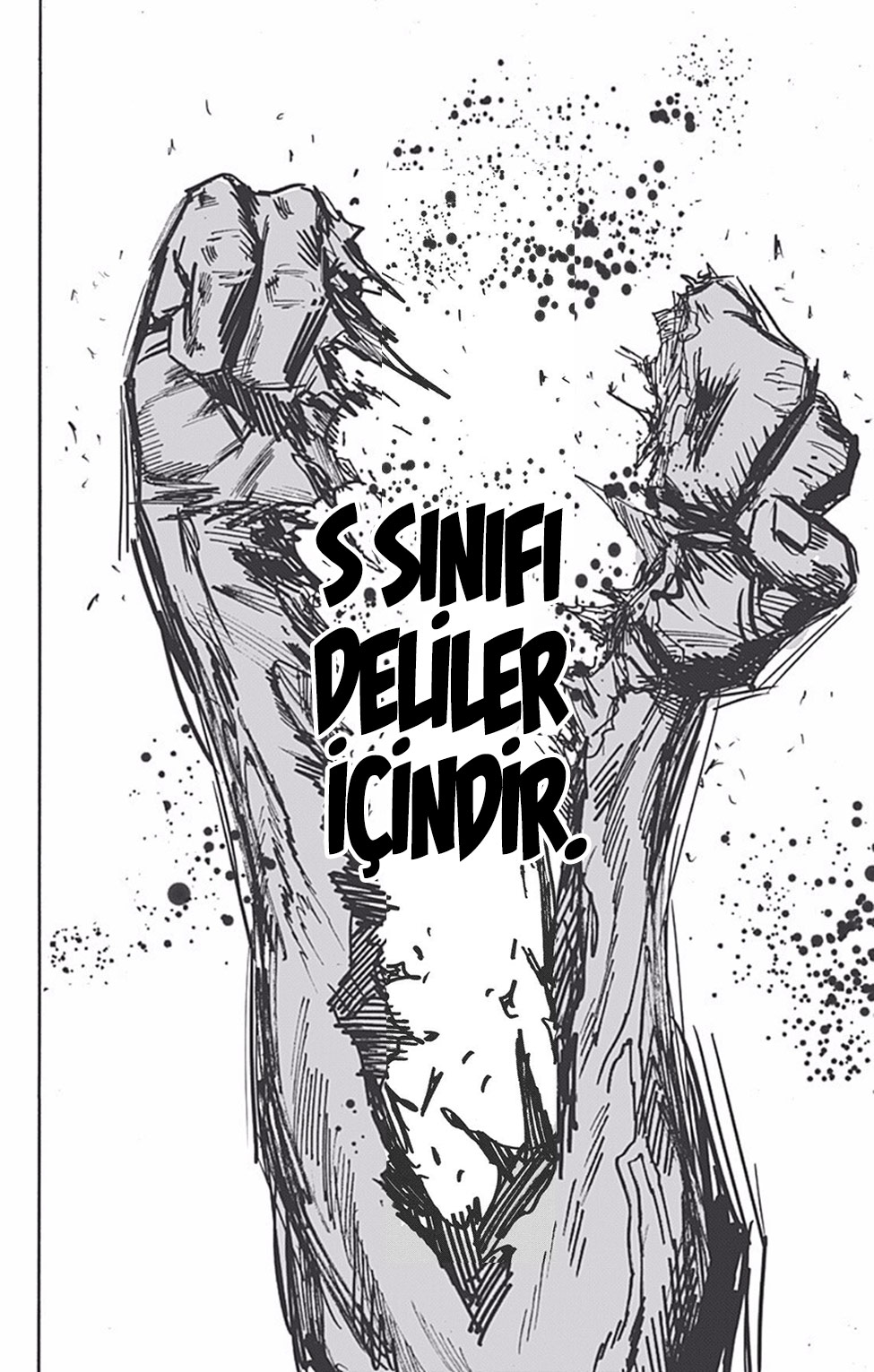 Read Tek Yumruk TR Manga Online