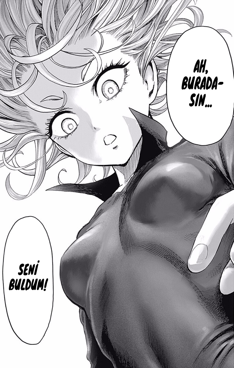 Read Tek Yumruk TR Manga Online