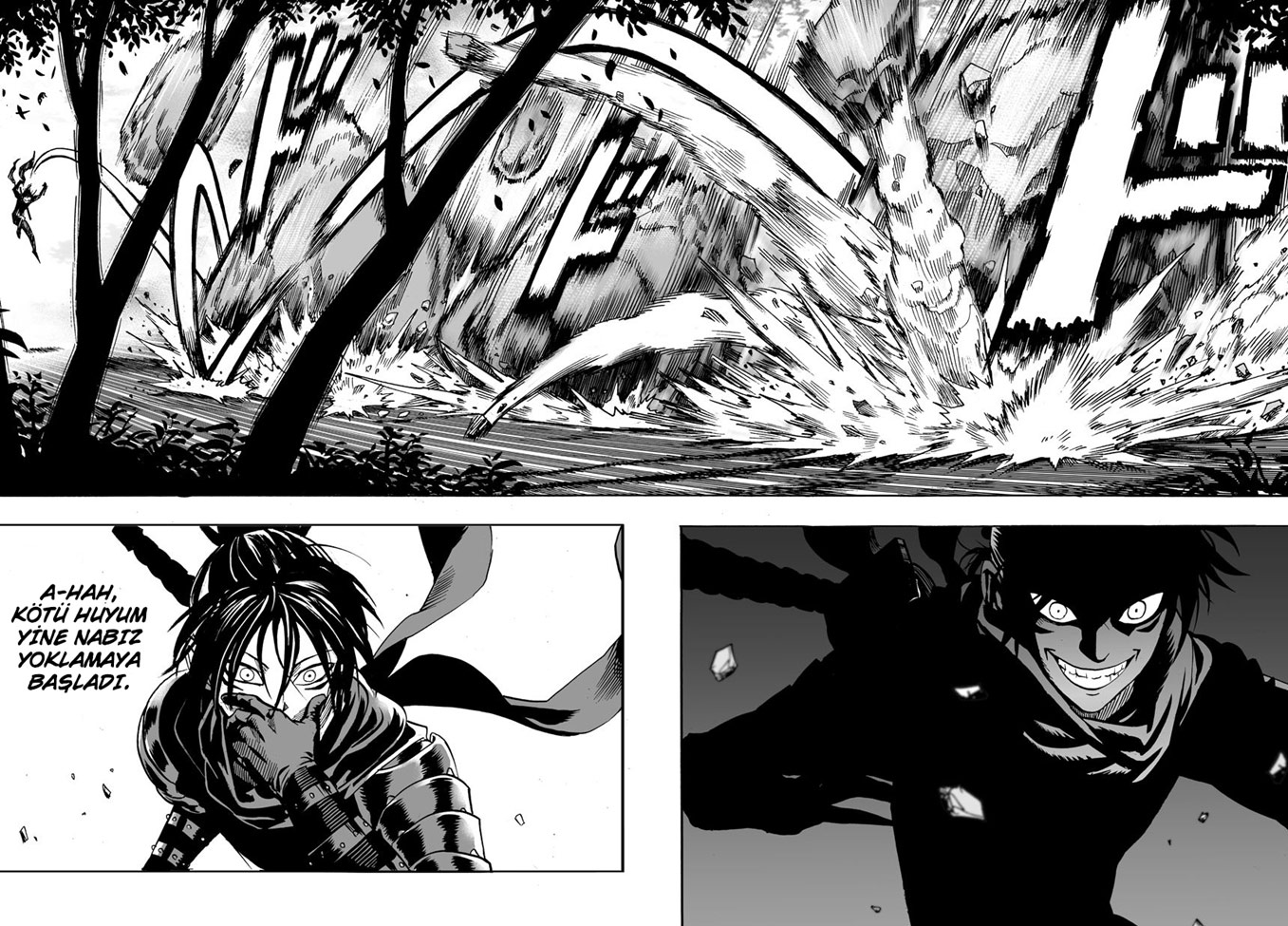 Read Tek Yumruk TR Manga Online