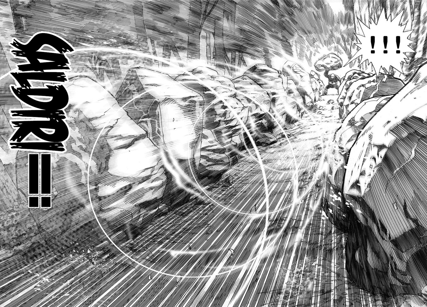 Read Tek Yumruk TR Manga Online