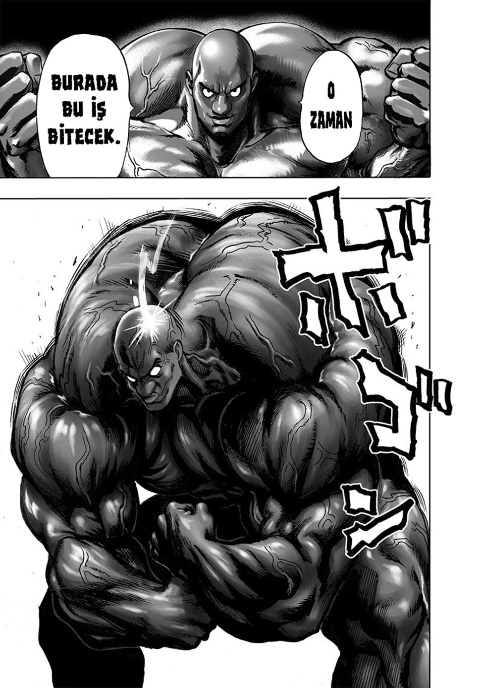 Read Tek Yumruk TR Manga Online