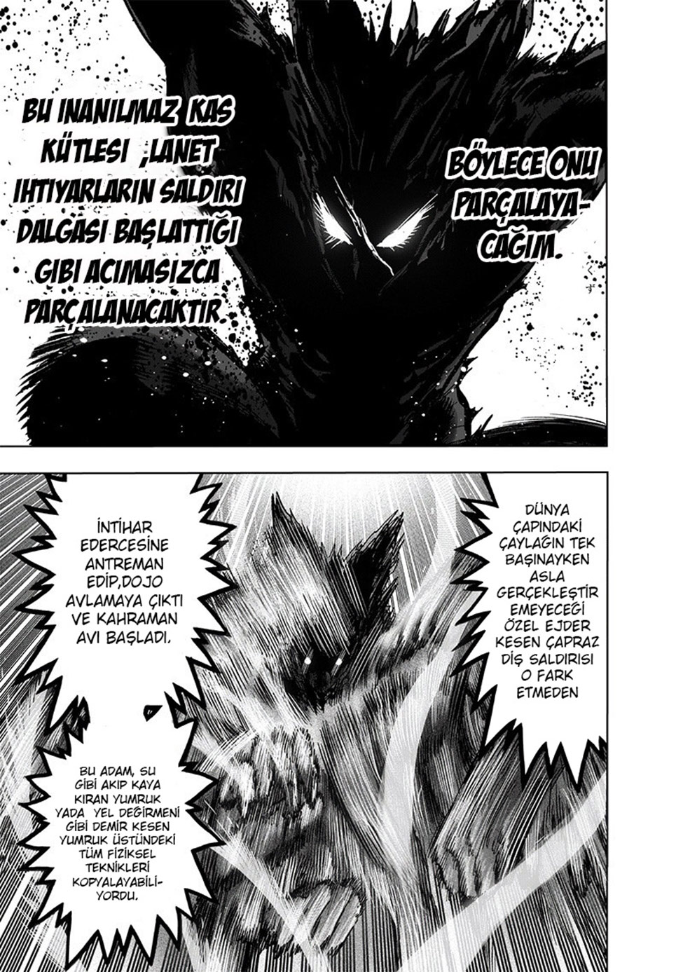 Read Tek Yumruk TR Manga Online