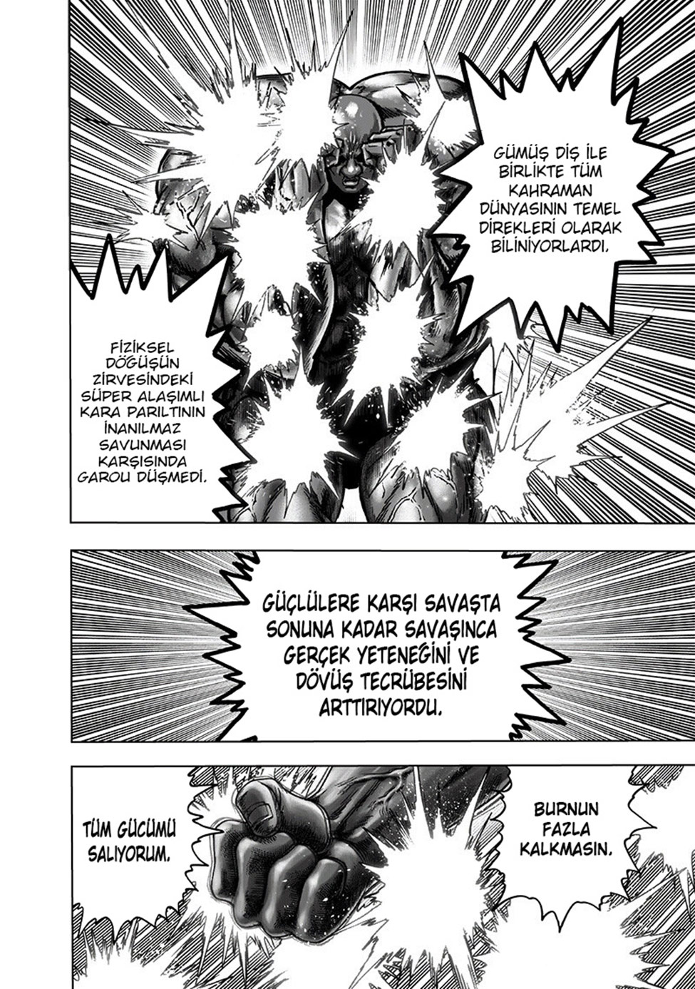 Read Tek Yumruk TR Manga Online