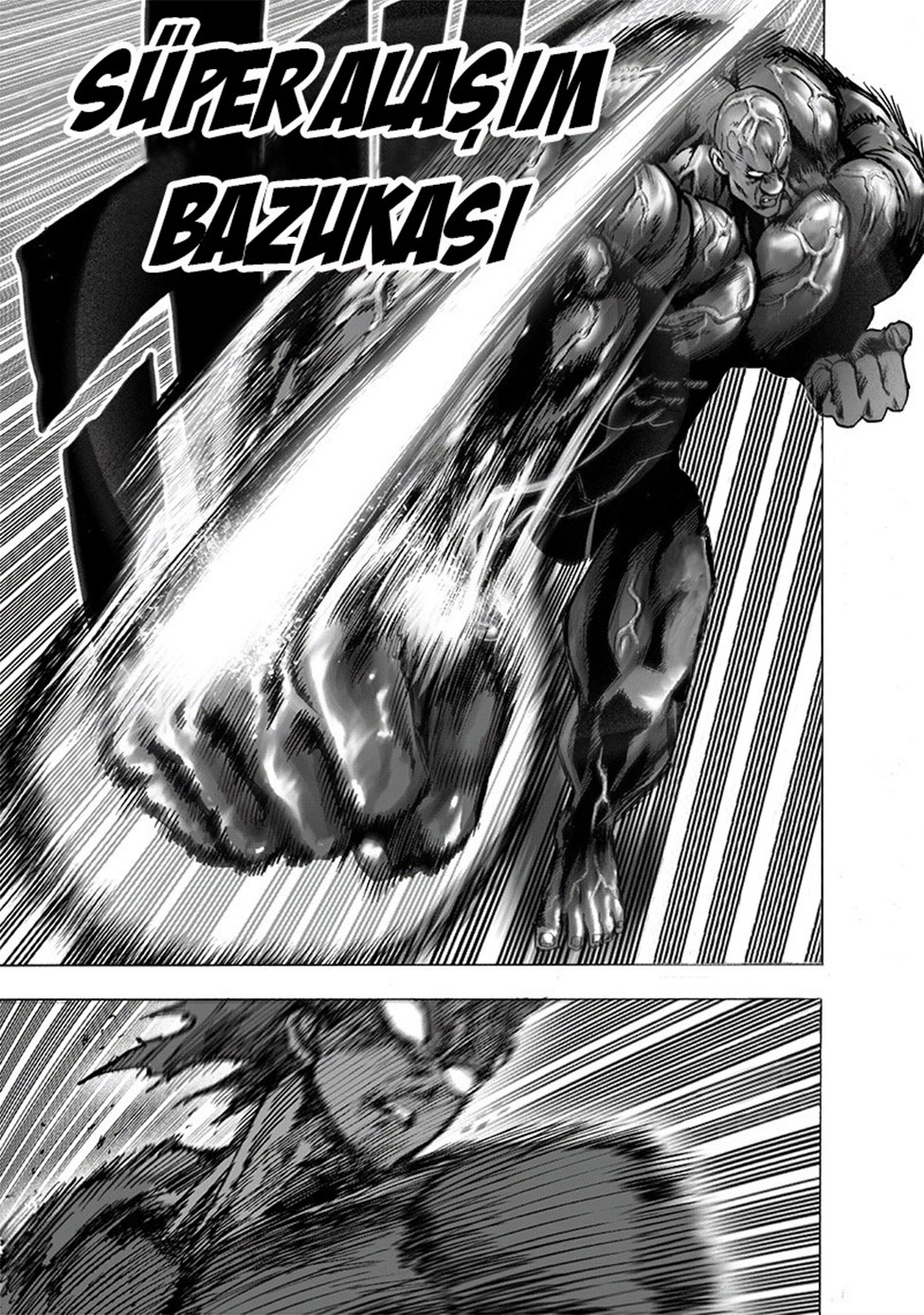 Read Tek Yumruk TR Manga Online