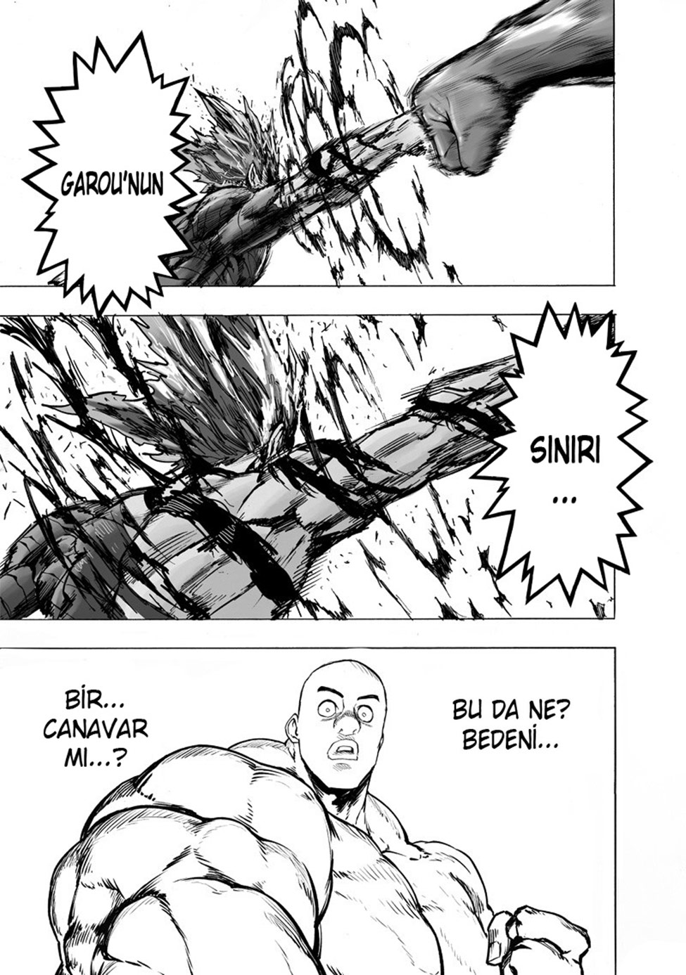 Read Tek Yumruk TR Manga Online