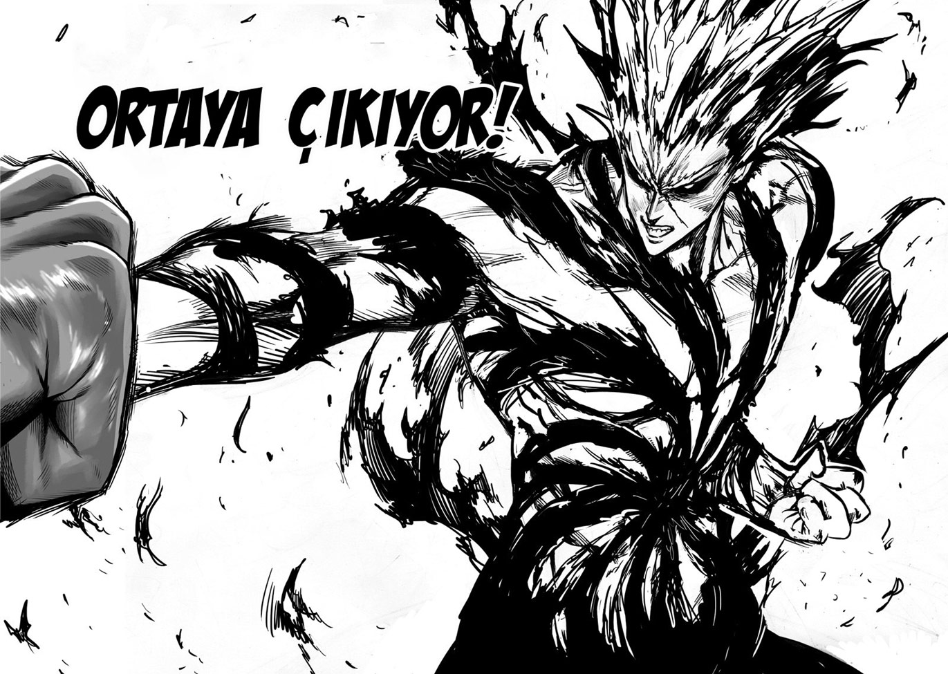 Read Tek Yumruk TR Manga Online