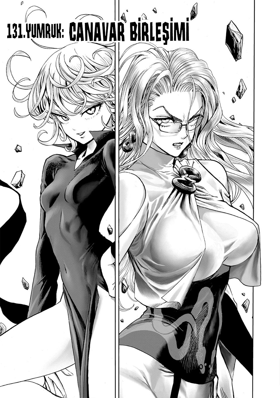 Read Tek Yumruk TR Manga Online