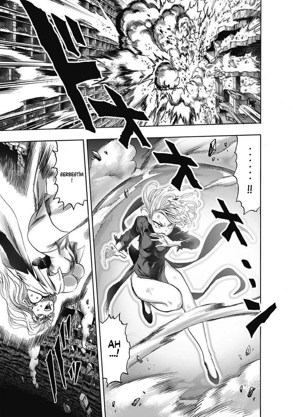 Read Tek Yumruk TR Manga Online