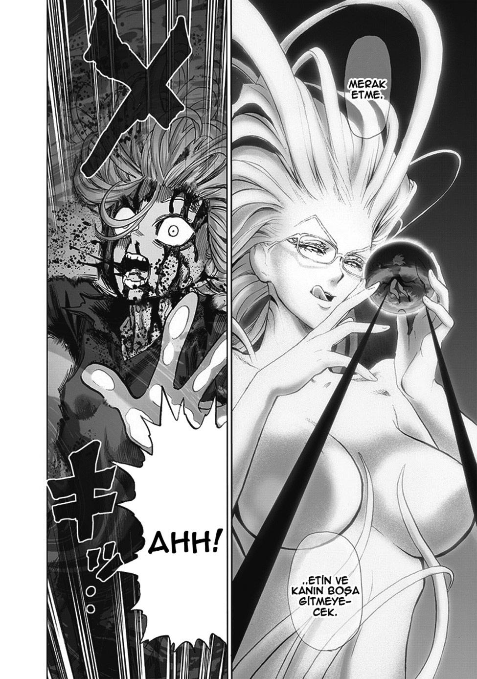 Read Tek Yumruk TR Manga Online