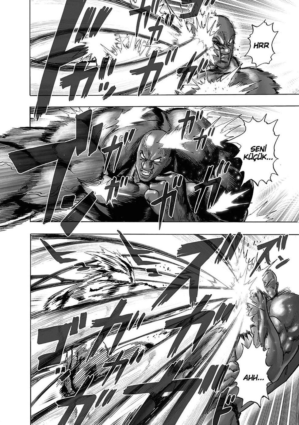 Read Tek Yumruk TR Manga Online