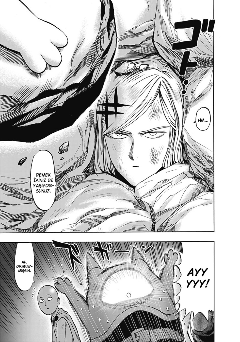Read Tek Yumruk TR Manga Online