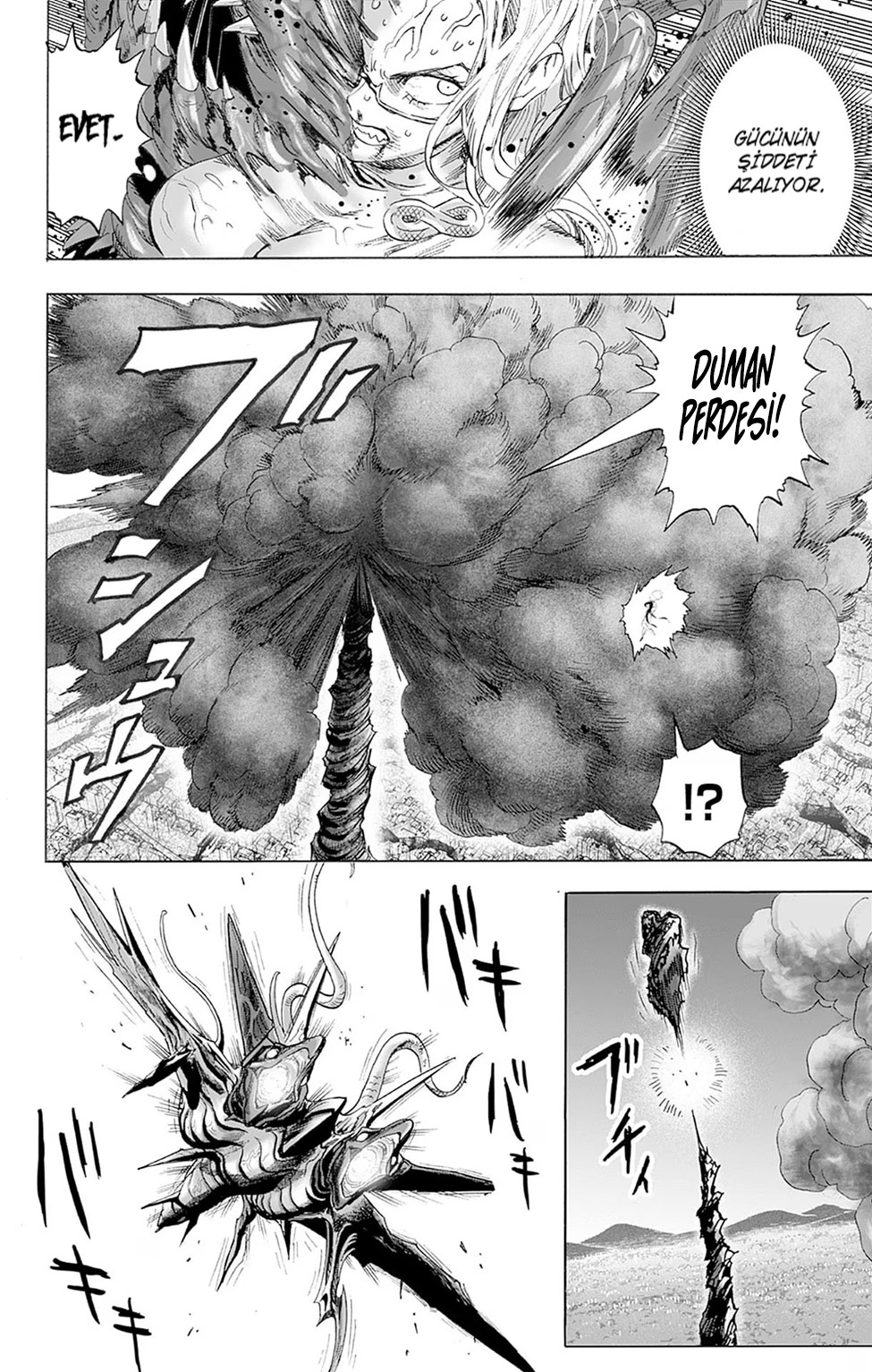 Read Tek Yumruk TR Manga Online