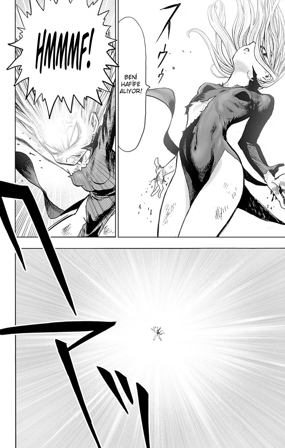 Read Tek Yumruk TR Manga Online