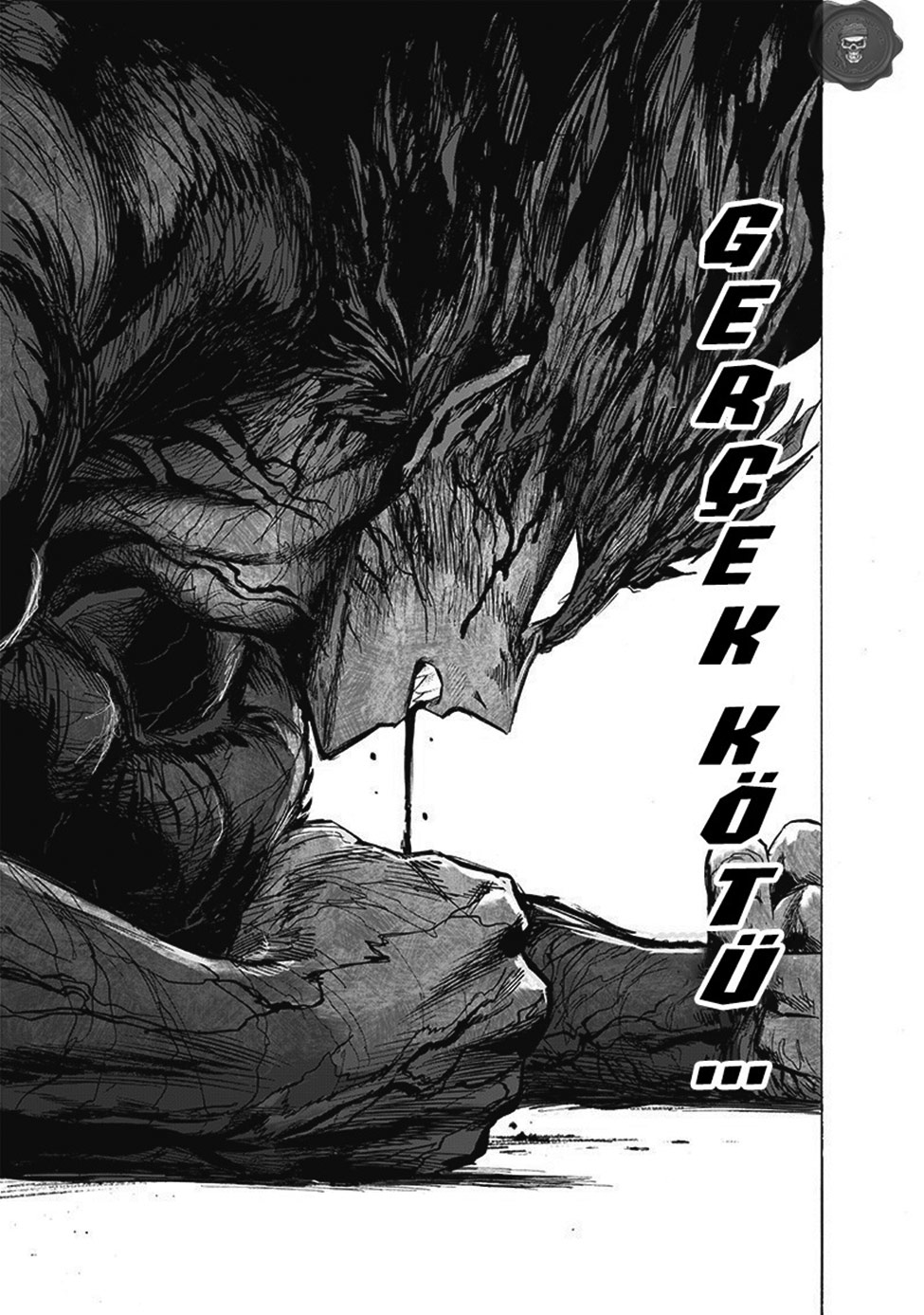 Read Tek Yumruk TR Manga Online