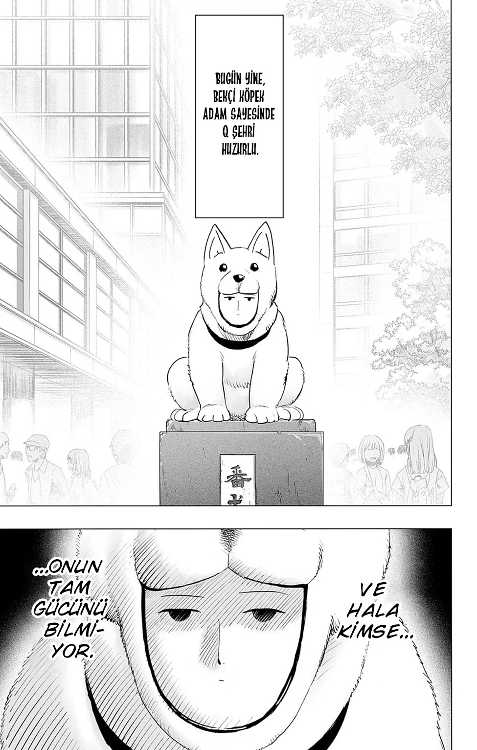 Read Tek Yumruk TR Manga Online