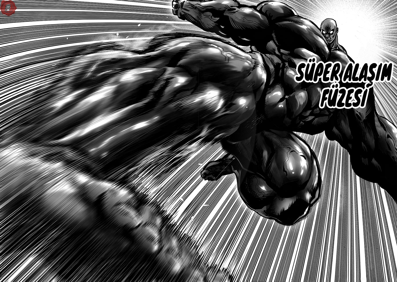Read Tek Yumruk TR Manga Online