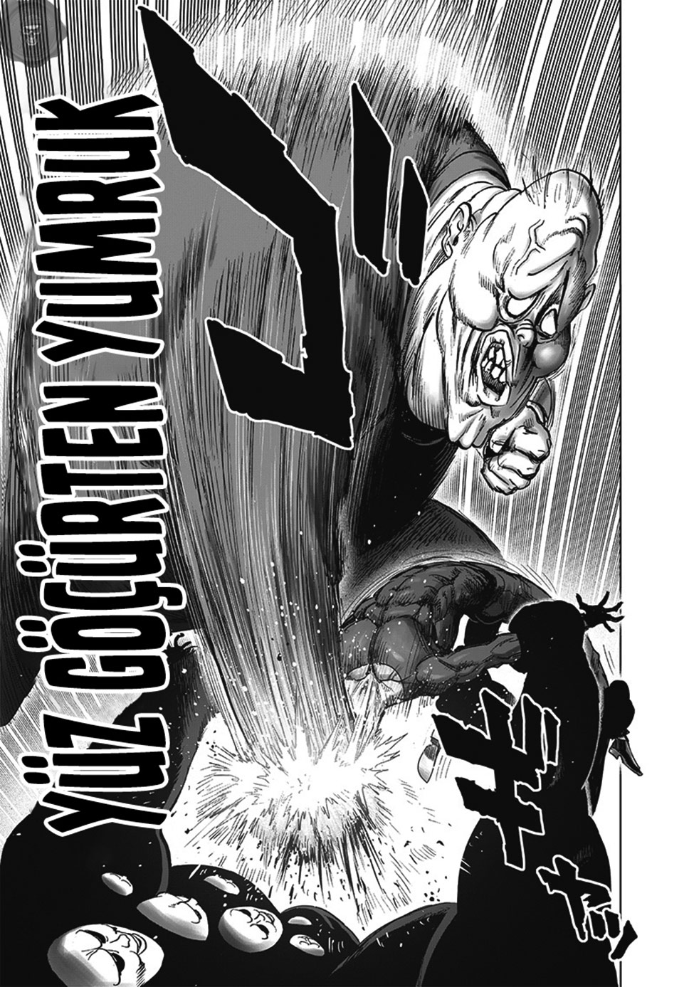 Read Tek Yumruk TR Manga Online