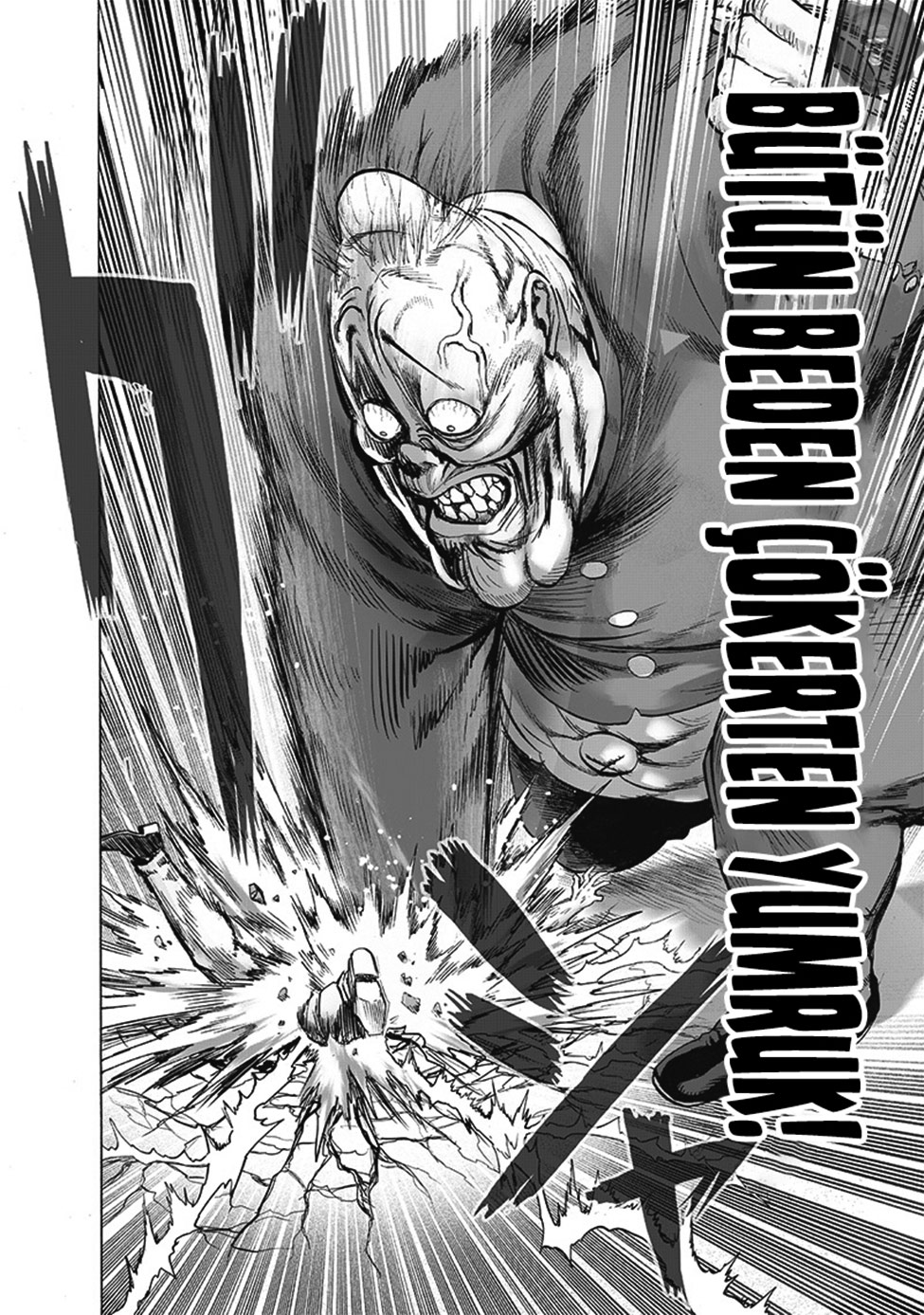 Read Tek Yumruk TR Manga Online