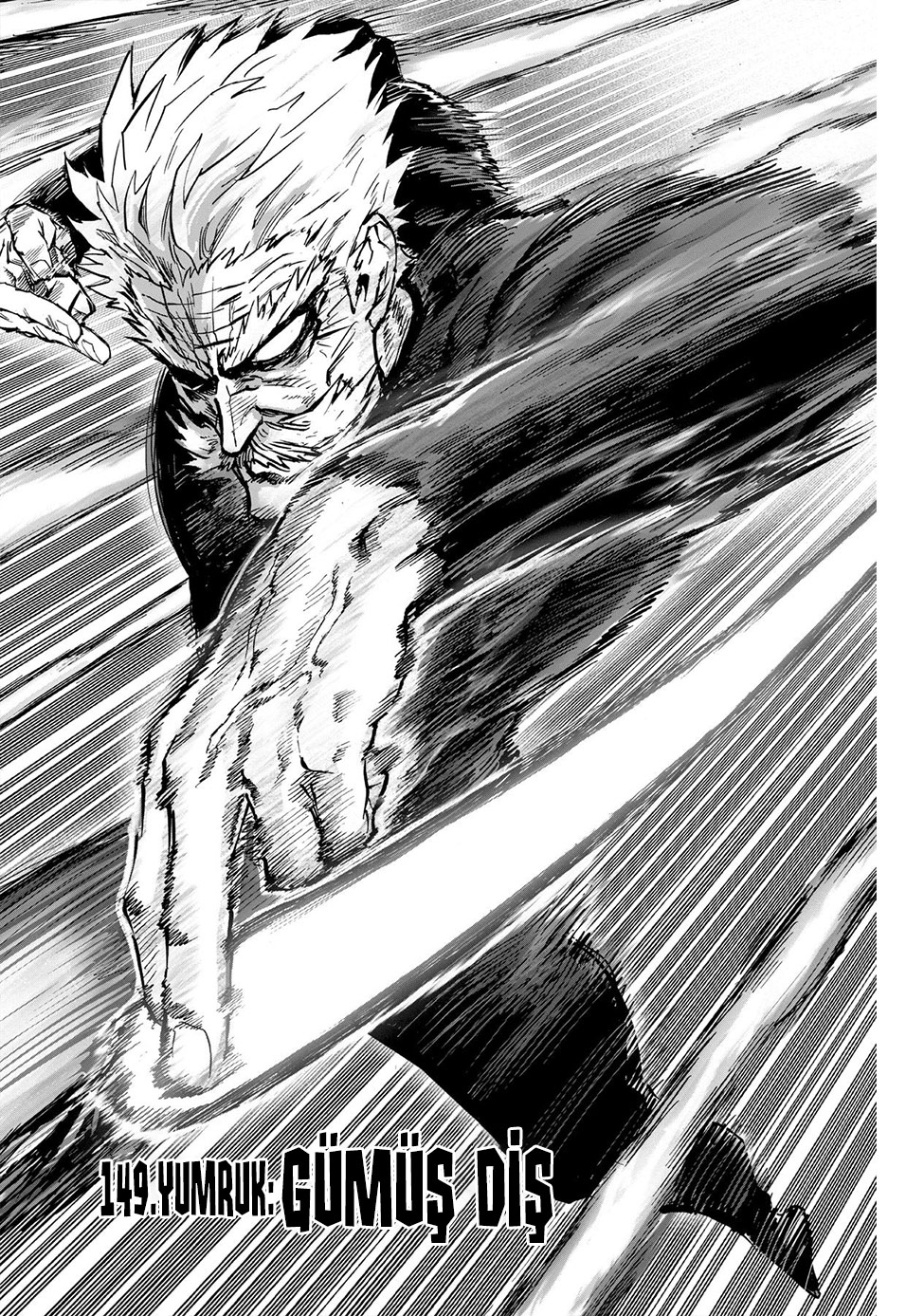 Read Tek Yumruk TR Manga Online