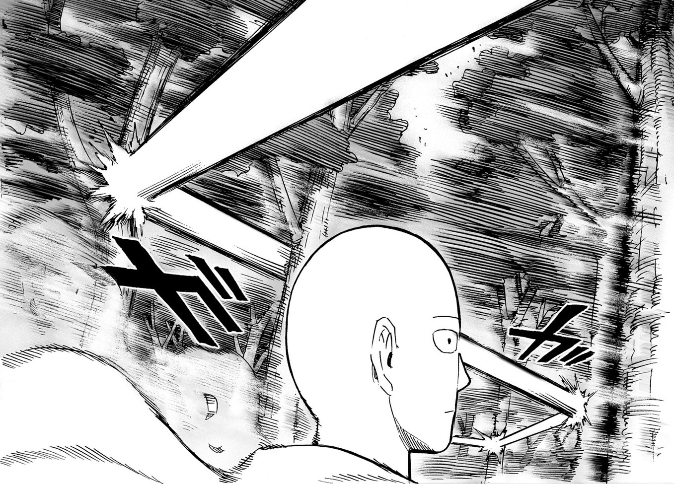 Read Tek Yumruk TR Manga Online