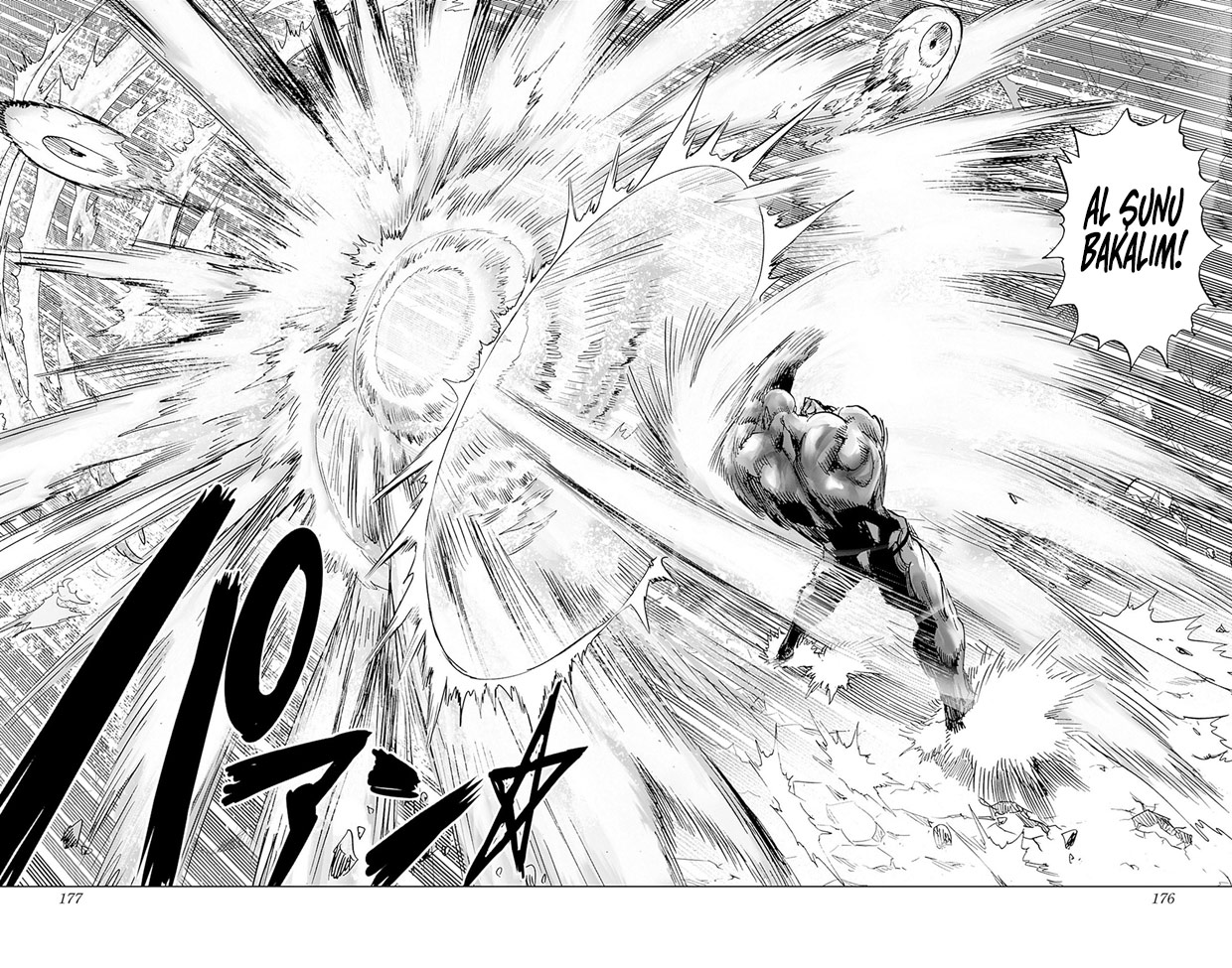 Read Tek Yumruk TR Manga Online