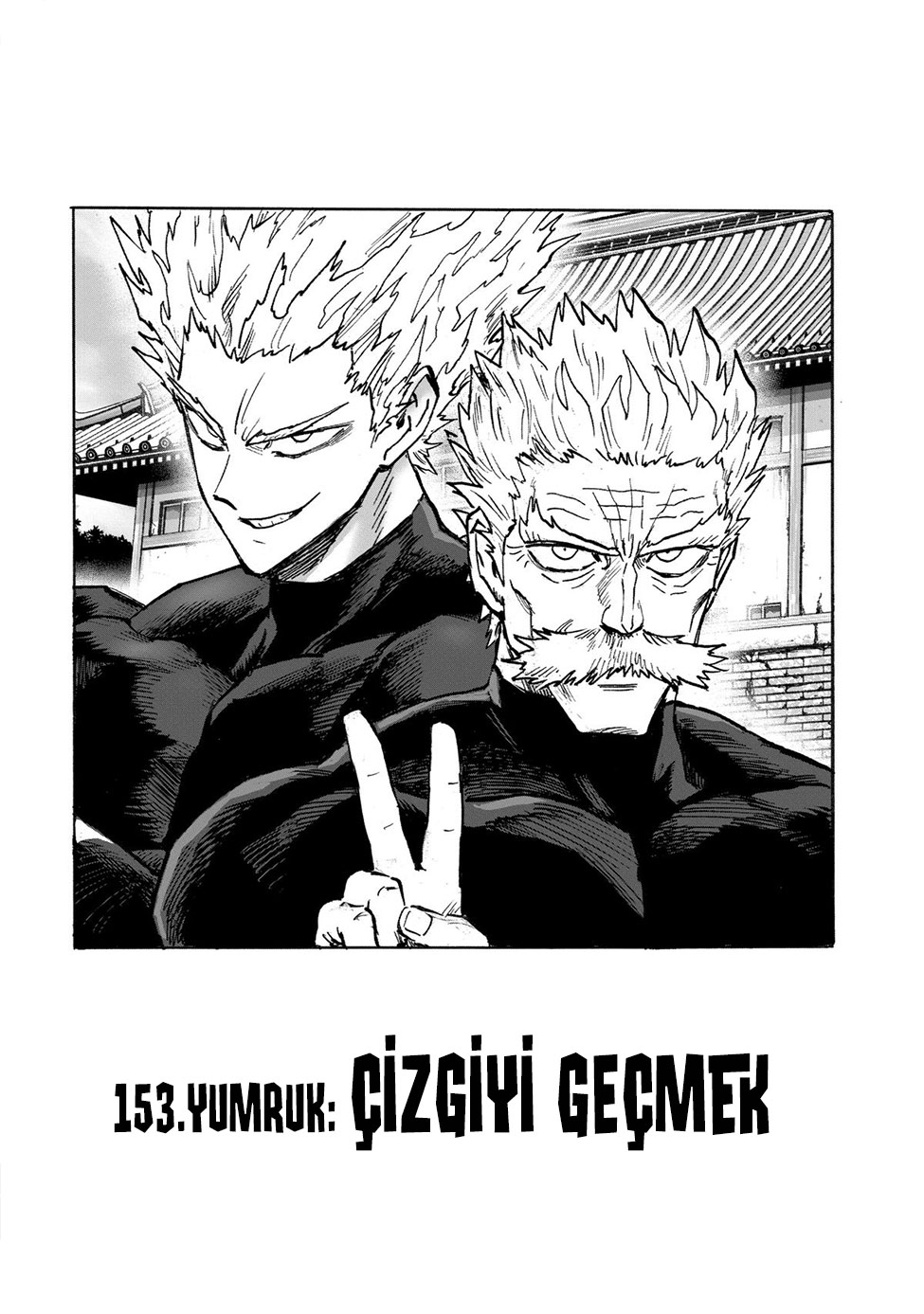Read Tek Yumruk TR Manga Online