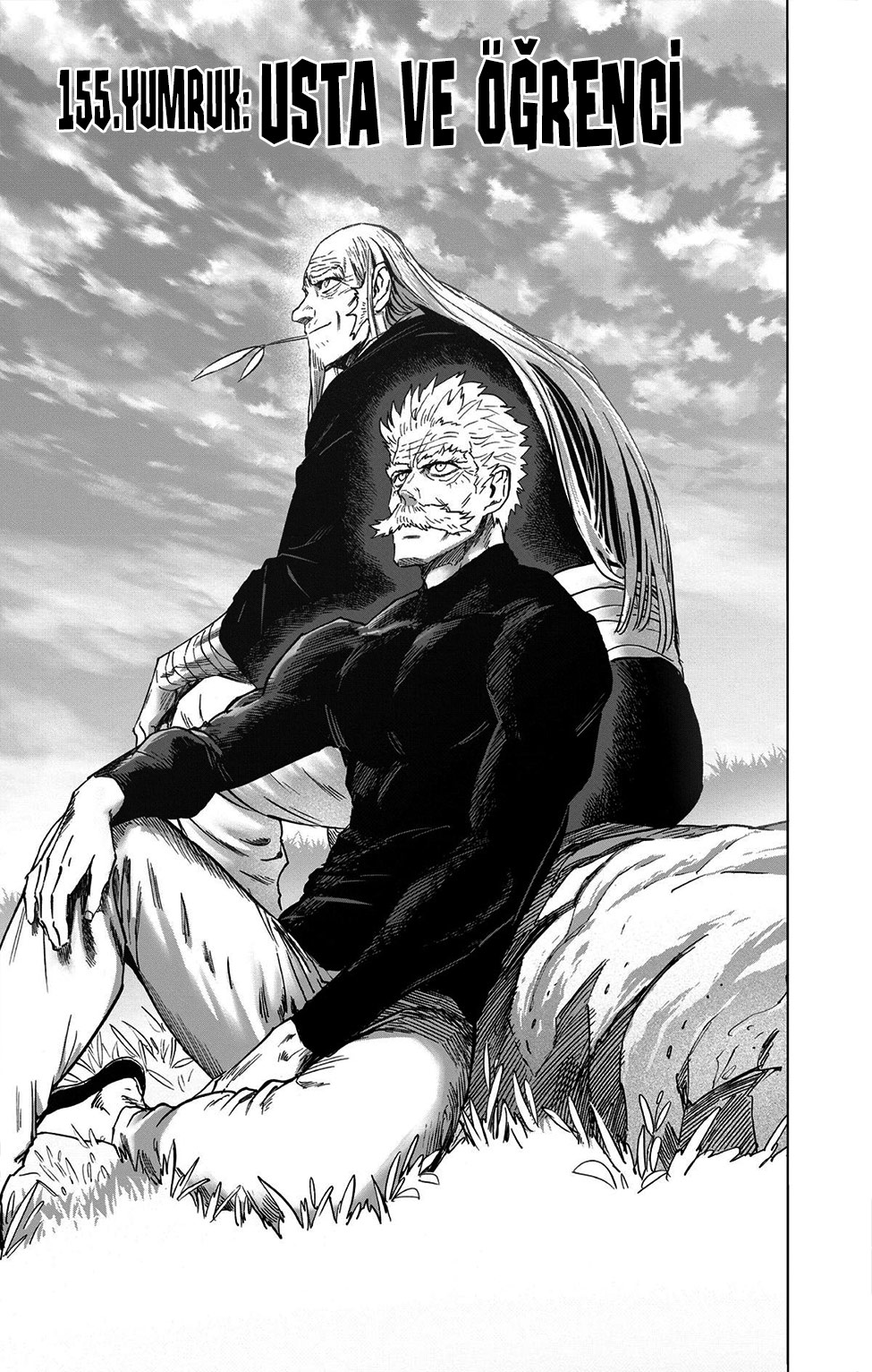 Read Tek Yumruk TR Manga Online